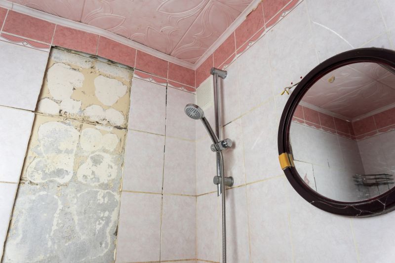 Top Shower Remodeling Companies in Mound, MN